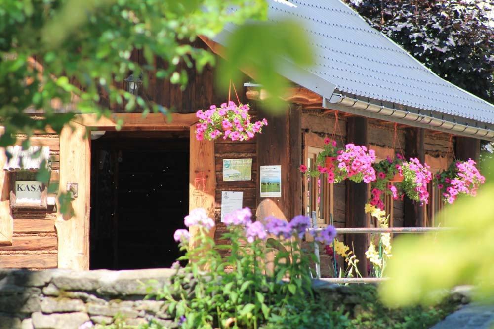 Farma Lama Dom Goscinny Tylicz Ngoại thất bức ảnh